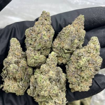 Sheffield_drogs's profile picture. Contact 
Telegram id:https://t.co/MsoYvAqFCw❄️🍀🍁🍫💊 within 25-45minutes 🚚