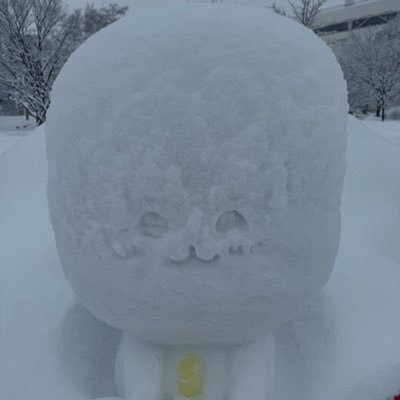 なのさんのプロフィール画像