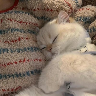 Jaziecsxuez's profile picture. 日本語を勉強してニュースアカウントを見ます。🎀
日本語でツイートすることにしました。🐱‍🚀

食べ物と旅行、株式投資、仮想通貨が好きです。📈
私も日本語の練習を手伝ってもらえると嬉しいです。(ಥ _ ಥ)
新しい人と知り合うのも楽しいですね,ハハハ😀
よろしくお願いします