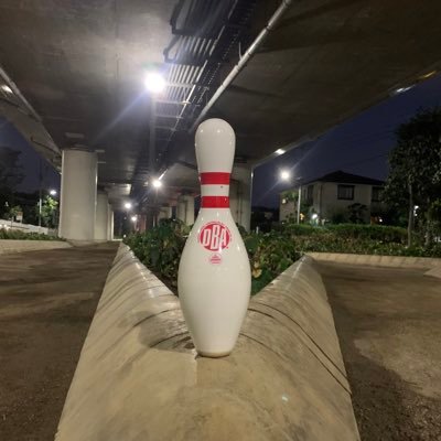 いなぇんぼう、自己内適当を愛す #自己内テキトー ボウリングのピンは、愛坊 = あいぼう = 相棒 である♪うぃ〜