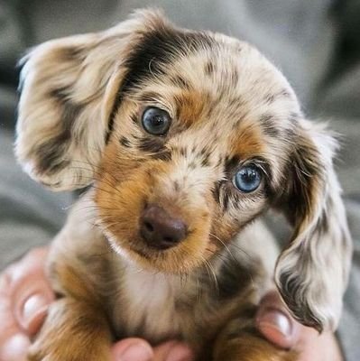 jenie_00's profile picture. 👷‍♀️🌈