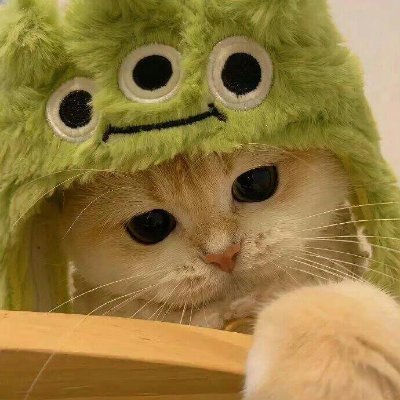 日本語を勉強してニュースアカウントを見ます。🎀
日本語でツイートすることにしました。🐱‍🚀

食べ物と旅行、株式投資、仮想通貨が好きです。📈
私も日本語の練習を手伝ってもらえると嬉しいです。(ಥ _ ಥ)
新しい人と知り合うのも楽しいですね,ハハハ😀
よろしくお願いします