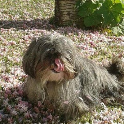 HerveTramu26440's profile picture. 