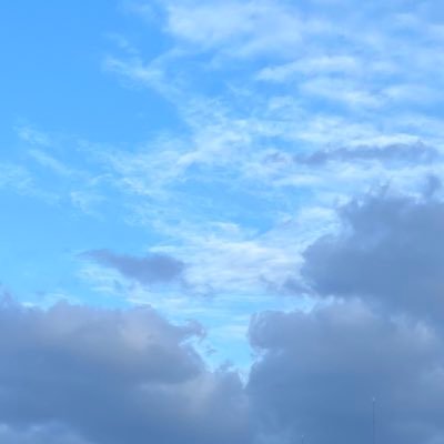 SFlt7FlsZaZP1bu's profile picture. 