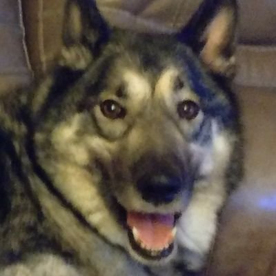 Tom539716426997's profile picture. 