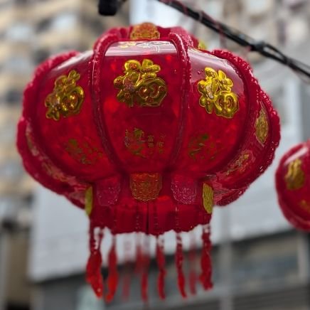 8SzTg6VjAW61802's profile picture. 香港大好き！
香港に渡航した内容中心です