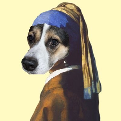 だいふく。🐶さんのプロフィール画像
