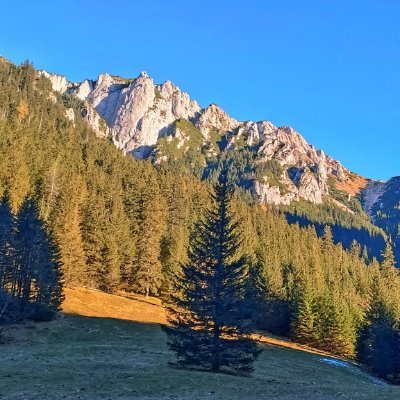 Cinek19877's profile picture. 