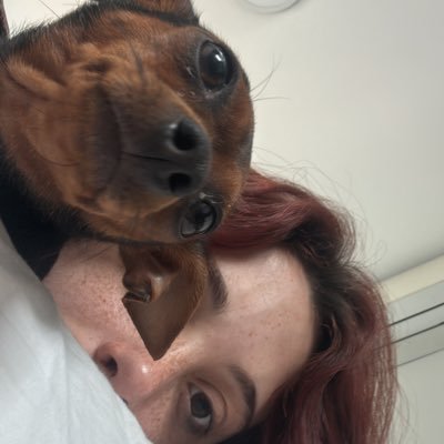 sophiaaaaleite's profile picture. sai daqui