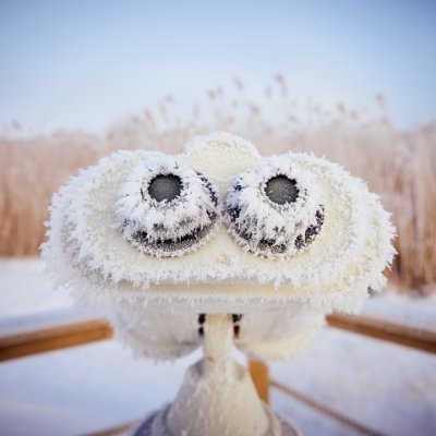 scushen's profile picture. 