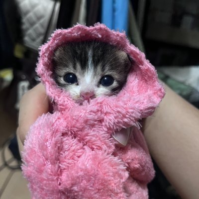 Nattinar's profile picture. ~~ Past is over, future not come yet, I have only this moment.....only moment in Me ~~ #FlowD #Lovely