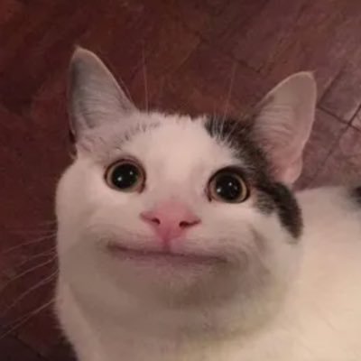 려후 / 믿나 검사제 더뎁 어컨 호프 / 휴덕복귀 비계 @softgamja 헛소리 전문점