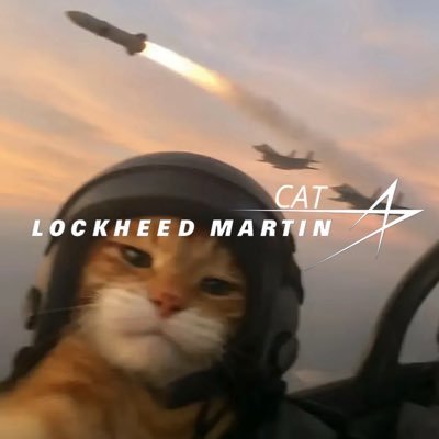 lockheedcat's profile picture. All PFPs are powered by fighter jet fuel. $LMC