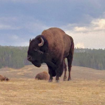 fuzzfacto1's profile picture. ✝️ 🇺🇸  espresso ☕️ 🚴‍♂️ 🤘🏻🥁🎸