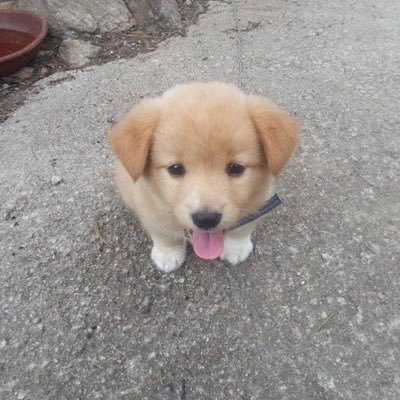 gongsaO4's profile picture. 못참겠다…