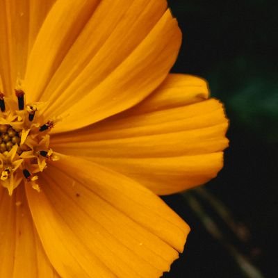 _jayajayajayaa's profile picture. LingOrm enthusiast 💯