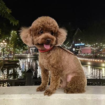 banichika0710's profile picture. ロシア人妻と愛犬【バニチカ】とロシアのド田舎に移住しました。
モスクワと違うド田舎のロシアをお届けします。素人ですがアンモナイトの発信もしてみます。