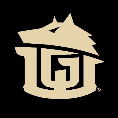 @gamewornhockey