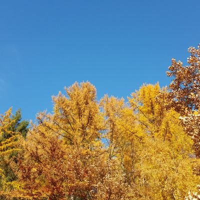 thinking_str8's profile picture. Philosophie