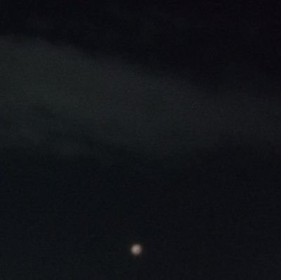 PINKTECH23's profile picture. 20+ years Stock Market trader |  investor 📈 | Algo Trading 🤖 | Python Automated Trading 💻 | Technical Analysis & Market Research 📊