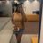 JessFrancois_'s profile image
