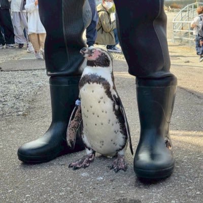 kane50n's profile picture. 90年代邦楽（B’z・ミスチルなど）が好きなアラサー♂ ライブや推し活遠征、ゴルフ・スノボなど趣味多めで生きてます。不慣れですが仲良くしてください！#90年代音楽 #Bz