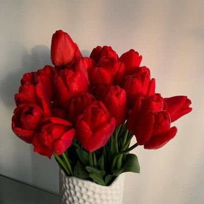 Khaled_elamery's profile picture. 