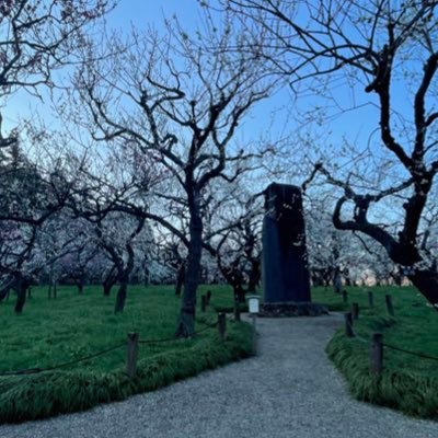 Sorane_0223's profile picture. 川高1年目のrace