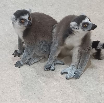 Yogasih_house00's profile picture. この世のどっかでなんかしてます   気が向いたらツイートに反応してあげてください。めっちゃ喜びます。