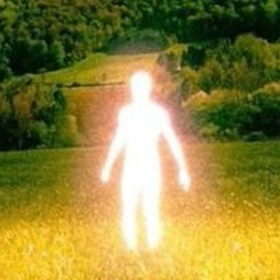 dankyykk's profile picture. a wandering wanderer