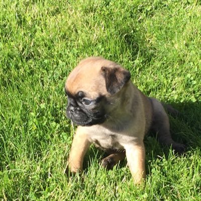 Cat03131956's profile picture. ❤️🇺🇸