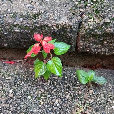 mlratino's profile picture. The good thing about having your own brain is that you get to think whatever you want.

The enemy of good is perfect.

Don't should.

#LearnMoreKnowMoreGrowMore