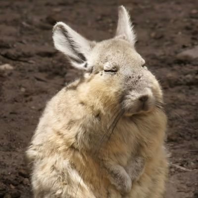 kkirukk_'s profile picture. 