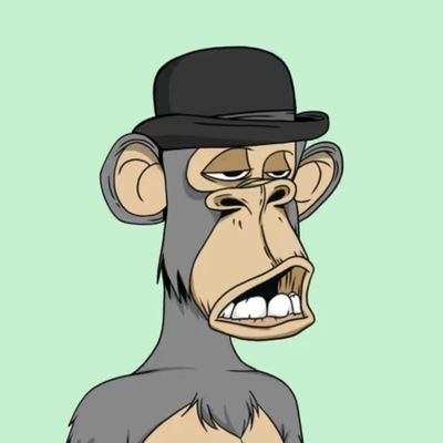 Web Designer & Coder | Crypto Psychologist |Meme Maker | YACHT #1375 | building everywhere on chain
