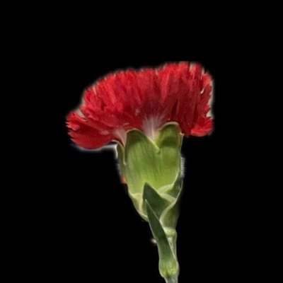 03cha03's profile picture. 育休中の弱小エンジニアです。AtCoder 始めました。