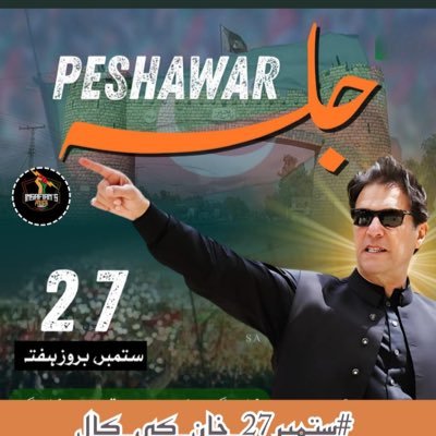 Private business x nazam mian channu working for p t i