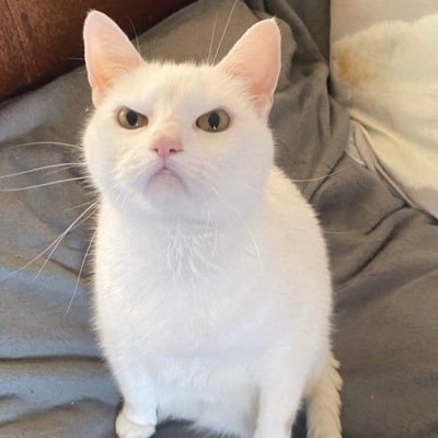 qalamchikey's profile picture. jangan rapat, tak mesra