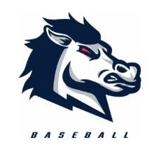 Christian, husband. Assistant Coach @USCABaseball | Former Hitting Coach @appyleague | JD6 🕊️TW11 🕊️ | riley.nelson@usca.edu