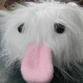 ppzhuk's profile picture. @nppyzh 자랑계정이고언젠가여기로튈거예요