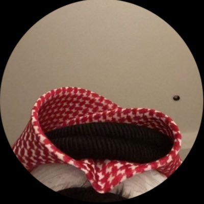 نصف إنسان والنصف الأخر هواجيس …