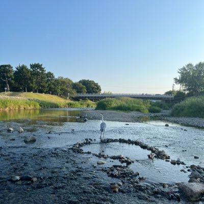 Kitaaki_Whiskey's profile picture. しがないウイスキー好きの大学生。WhiskEyですよね…アイリッシュ好きなので