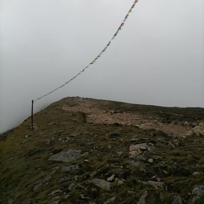 successwave09's profile picture. 