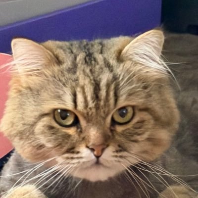 GoodMan85266252's profile picture. 