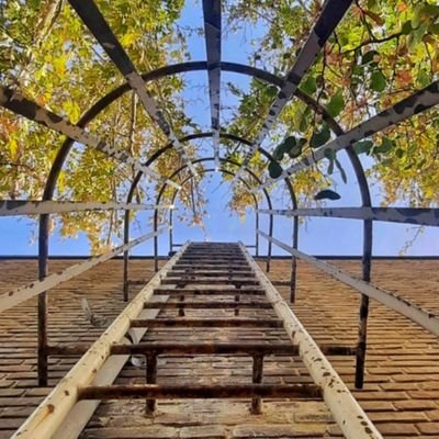 Taha_110_313's profile picture. یه دانشجوی ساده در حوالی همین روزمرگی‌ها