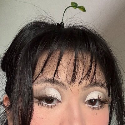 ChineseCheese's profile picture. 
