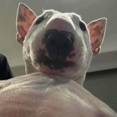 gw5fanacc's profile picture. 