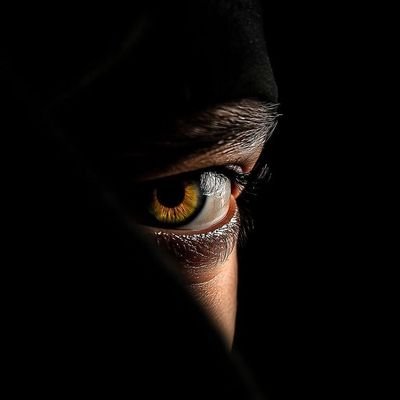 MahdiMa664's profile picture. 