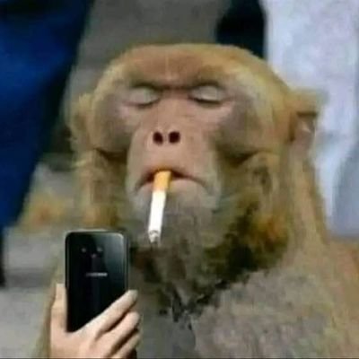 HenryAz131416's profile picture. Soy padre, hijo y espíritu...