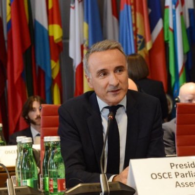@OSCEPA President. From Mallorca, MP. Spanish Senate. Senador Per Mallorca. @PsibPsoe