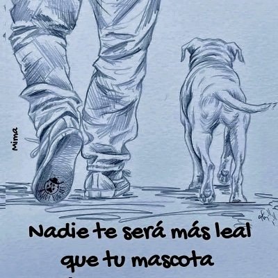 YMauricioP2's profile picture. 